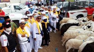 Dibahas, Penyembelihan DAM Haji Berbasis Kepastian Hukum dan Pelayanan Jemaah