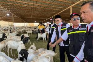Silahkan Pilih, Kementerian Haji Terbitkan Edaran Pilihan Jenis Haji dan Tata Kelola Pembayaran DAM